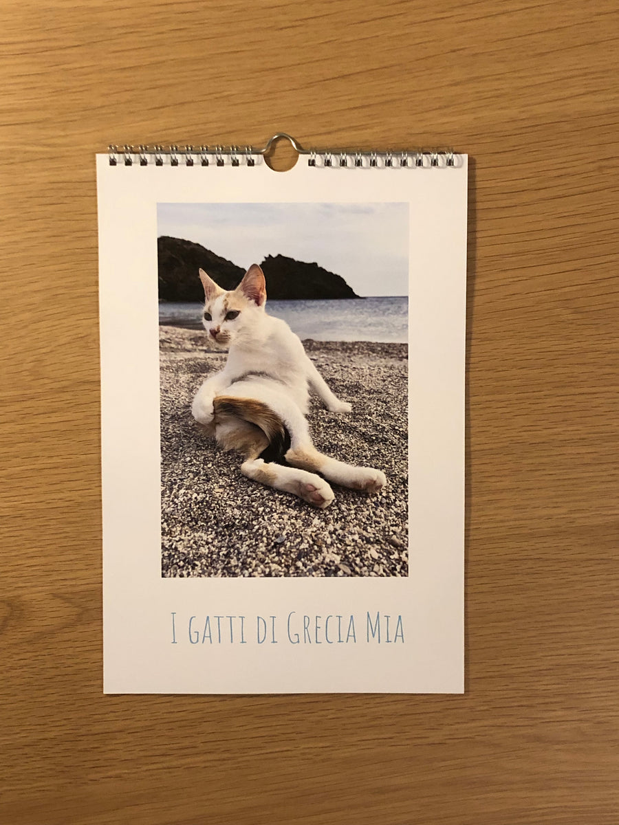 Calendario I Gatti del Verano 2024 - I Gatti del Verano